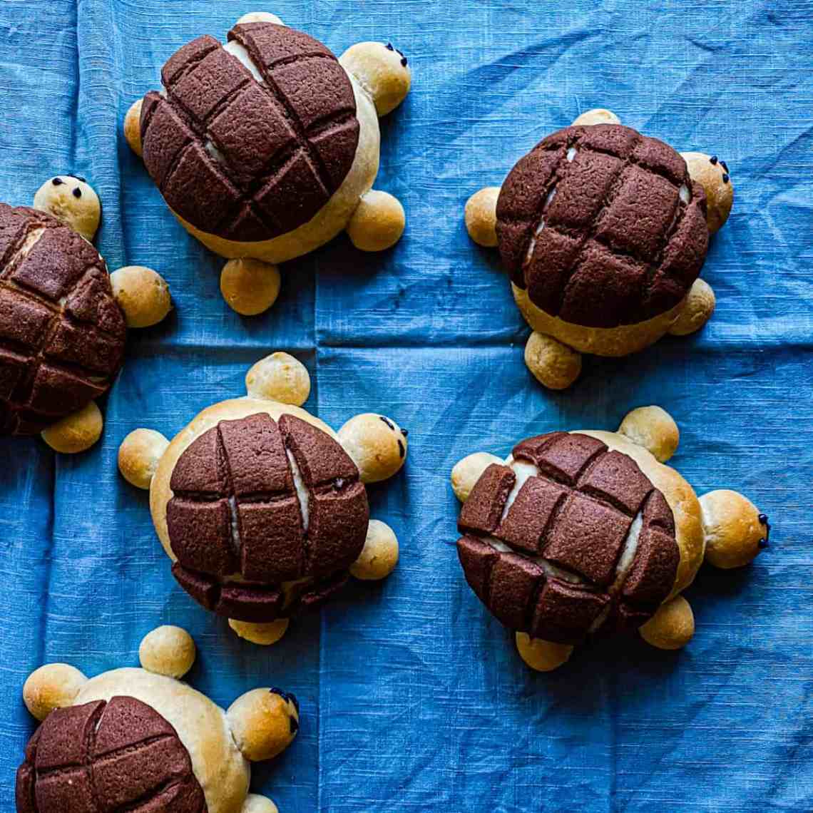 Detail Turtle Melon Pan Nomer 7