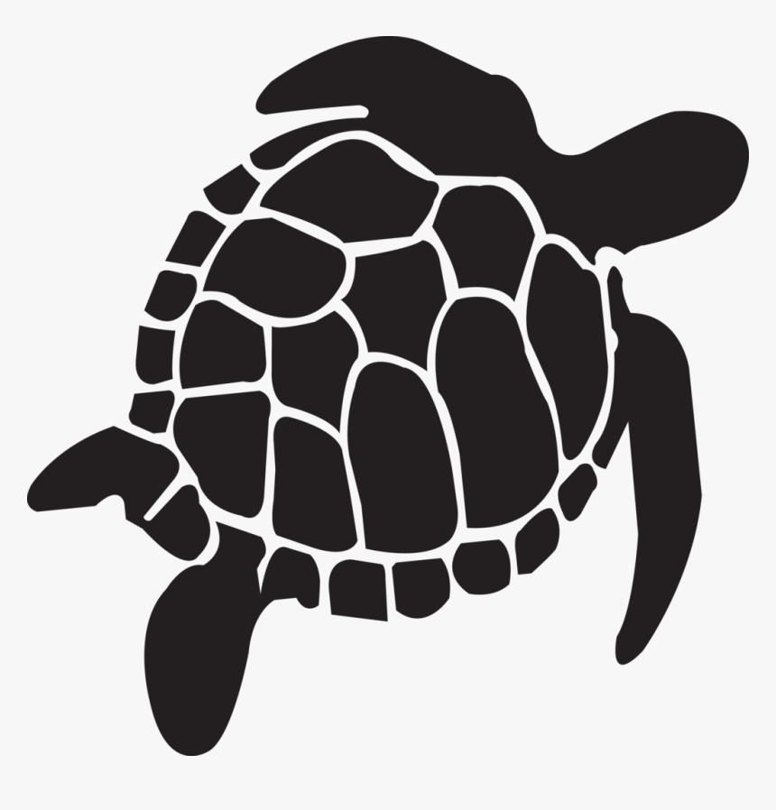 Detail Turtle Png Transparent Nomer 45