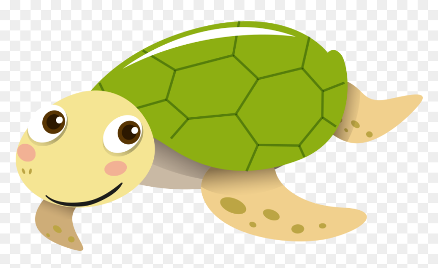Detail Turtle Png Transparent Nomer 49