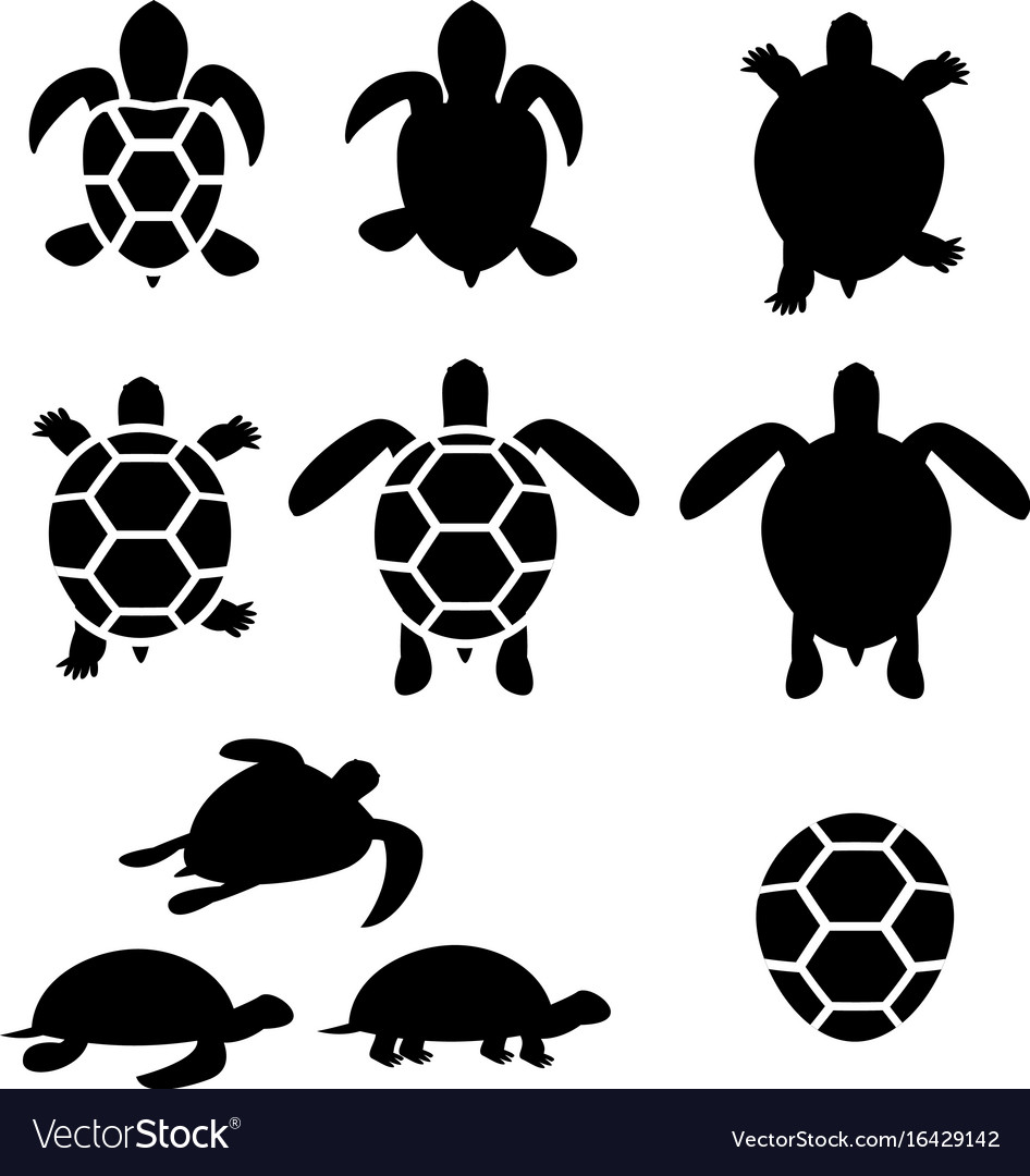 Turtle Silhouette Vector - KibrisPDR