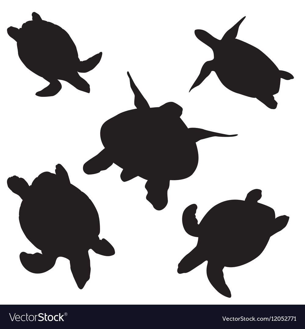 Detail Turtle Silhouette Vector Nomer 11