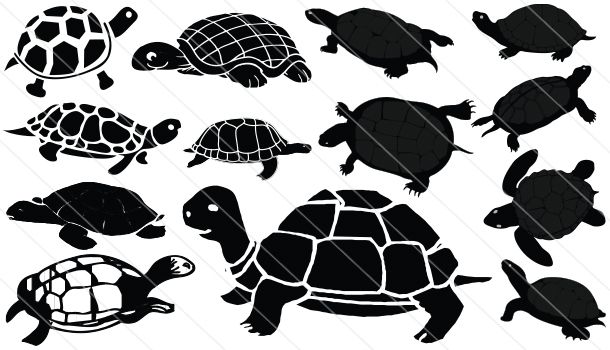 Detail Turtle Silhouette Vector Nomer 20