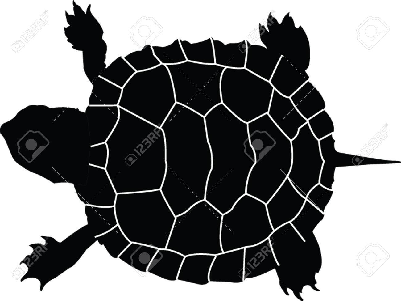 Detail Turtle Silhouette Vector Nomer 22