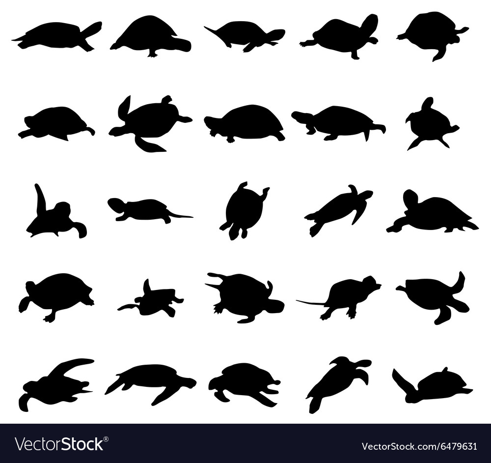 Detail Turtle Silhouette Vector Nomer 24
