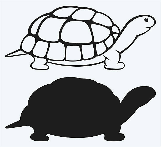 Detail Turtle Silhouette Vector Nomer 4
