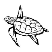 Detail Turtle Silhouette Vector Nomer 31