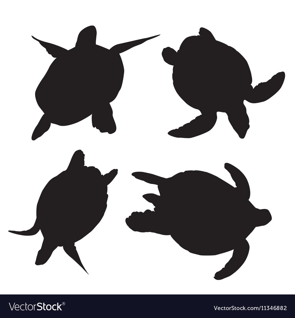 Detail Turtle Silhouette Vector Nomer 34