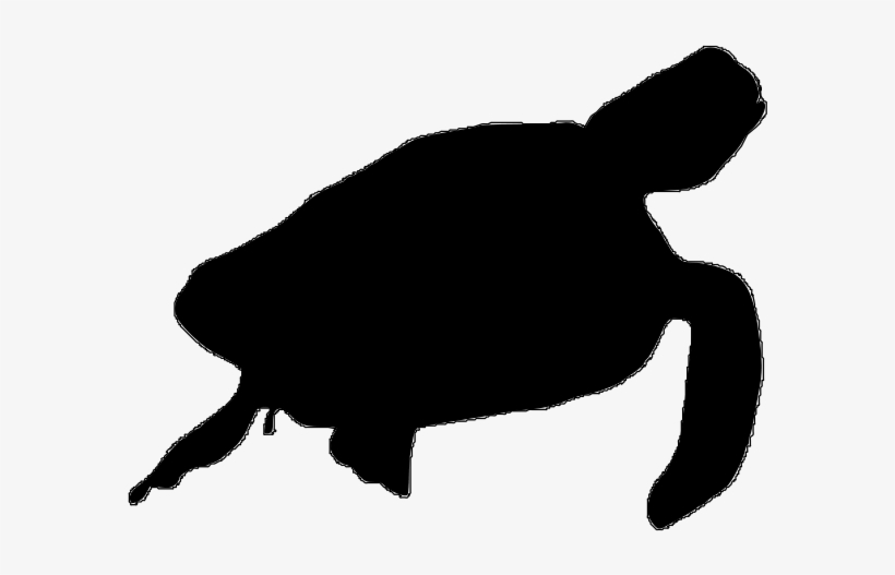 Detail Turtle Silhouette Vector Nomer 35