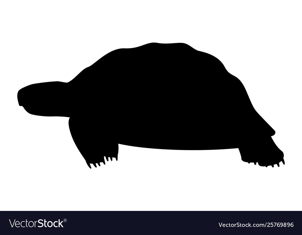 Detail Turtle Silhouette Vector Nomer 37
