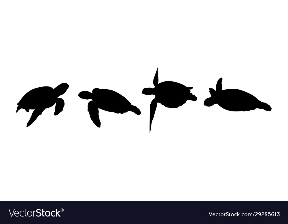 Detail Turtle Silhouette Vector Nomer 41
