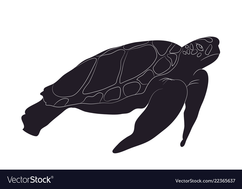 Detail Turtle Silhouette Vector Nomer 43