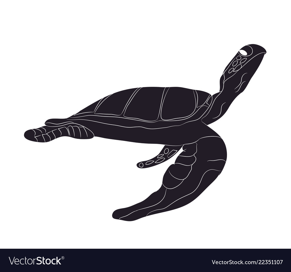 Detail Turtle Silhouette Vector Nomer 45