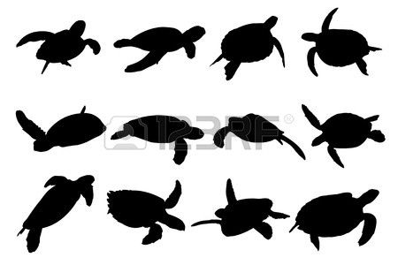 Detail Turtle Silhouette Vector Nomer 6