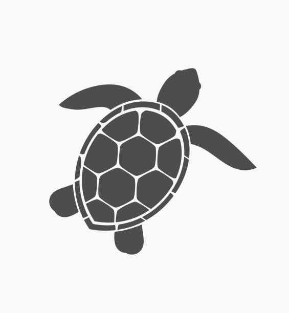 Detail Turtle Silhouette Vector Nomer 53