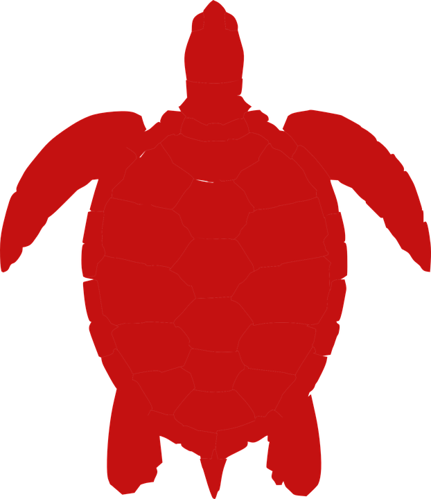 Detail Turtle Silhouette Vector Nomer 54