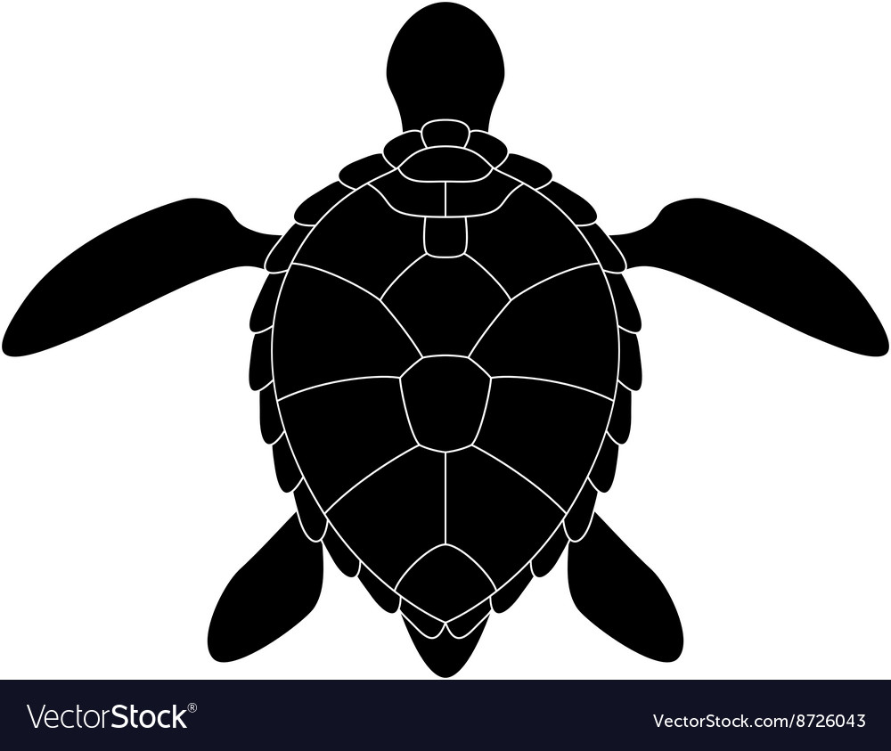 Detail Turtle Silhouette Vector Nomer 8