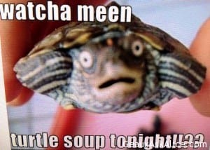 Detail Turtle Soup Meme Nomer 14