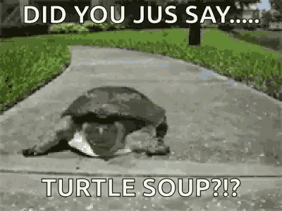 Detail Turtle Soup Meme Nomer 2
