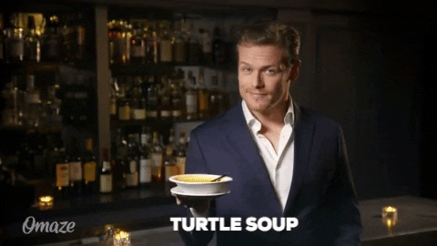 Detail Turtle Soup Meme Nomer 16