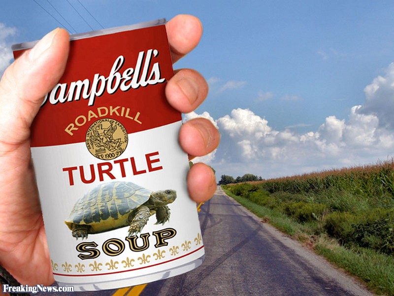 Detail Turtle Soup Meme Nomer 23