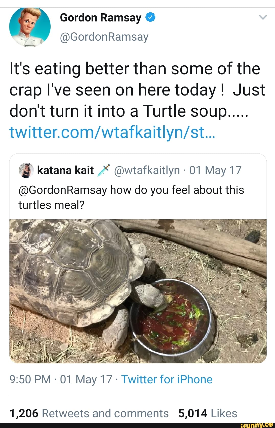 Detail Turtle Soup Meme Nomer 42