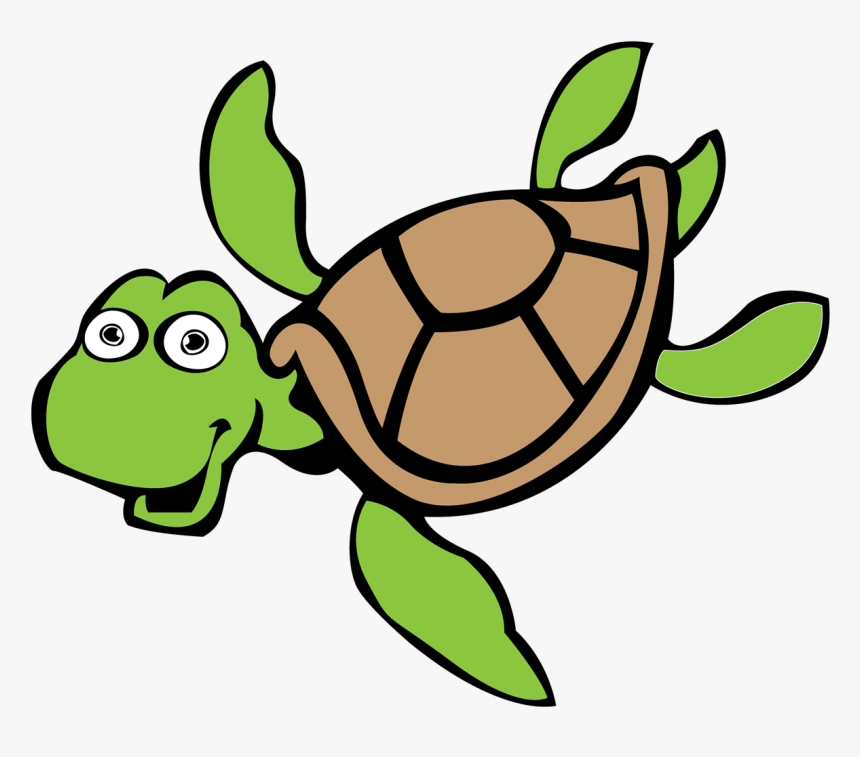 Detail Turtle Transparent Nomer 26