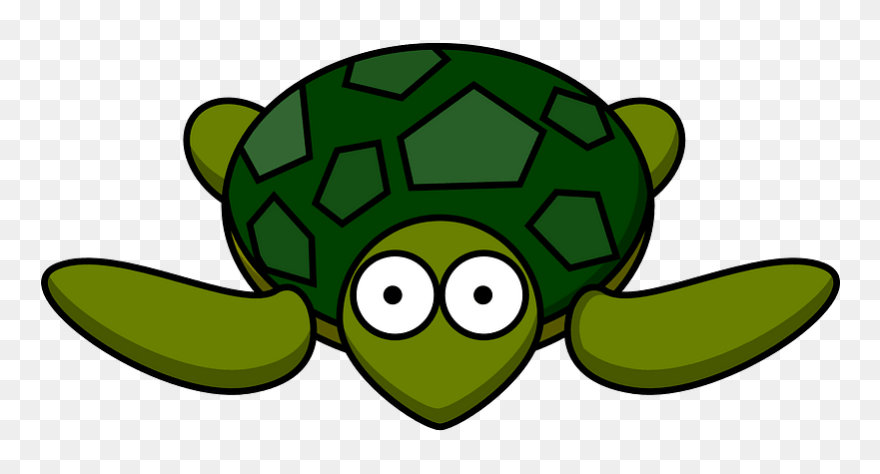 Detail Turtle Transparent Nomer 30