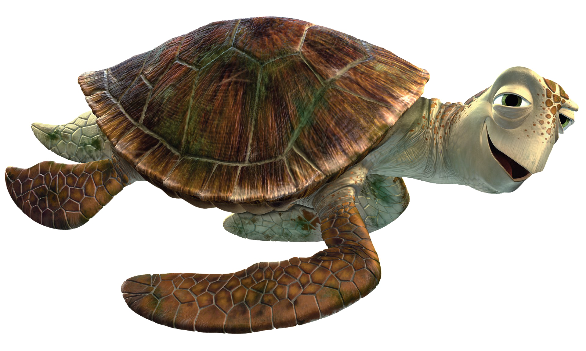 Detail Turtle Transparent Nomer 36