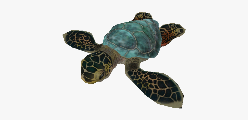 Detail Turtle Transparent Nomer 38