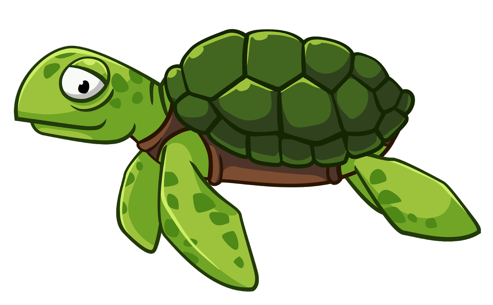 Detail Turtle Transparent Nomer 44