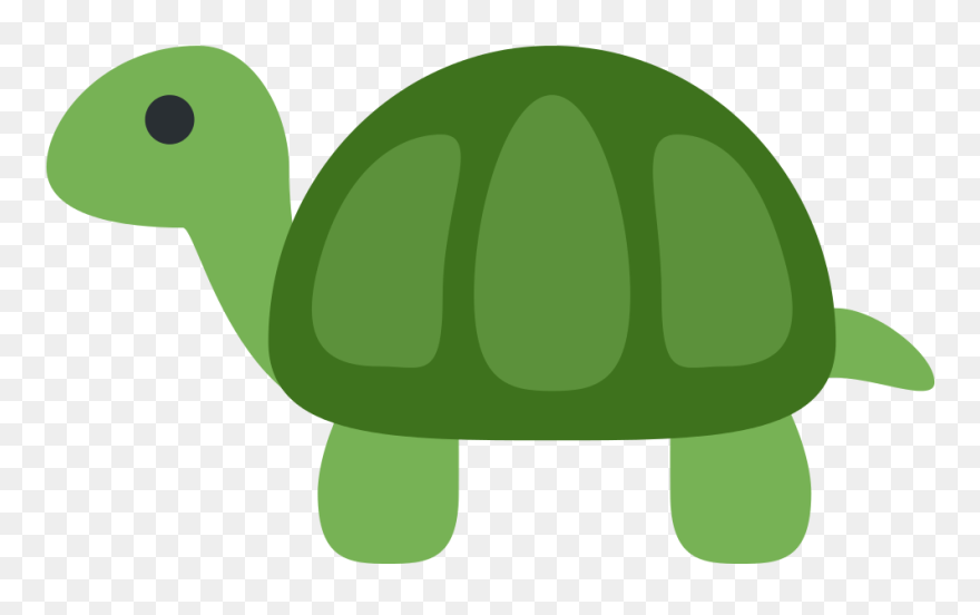 Detail Turtle Transparent Nomer 48
