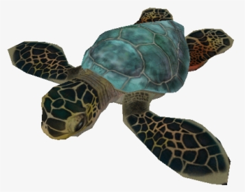 Detail Turtle Transparent Nomer 54