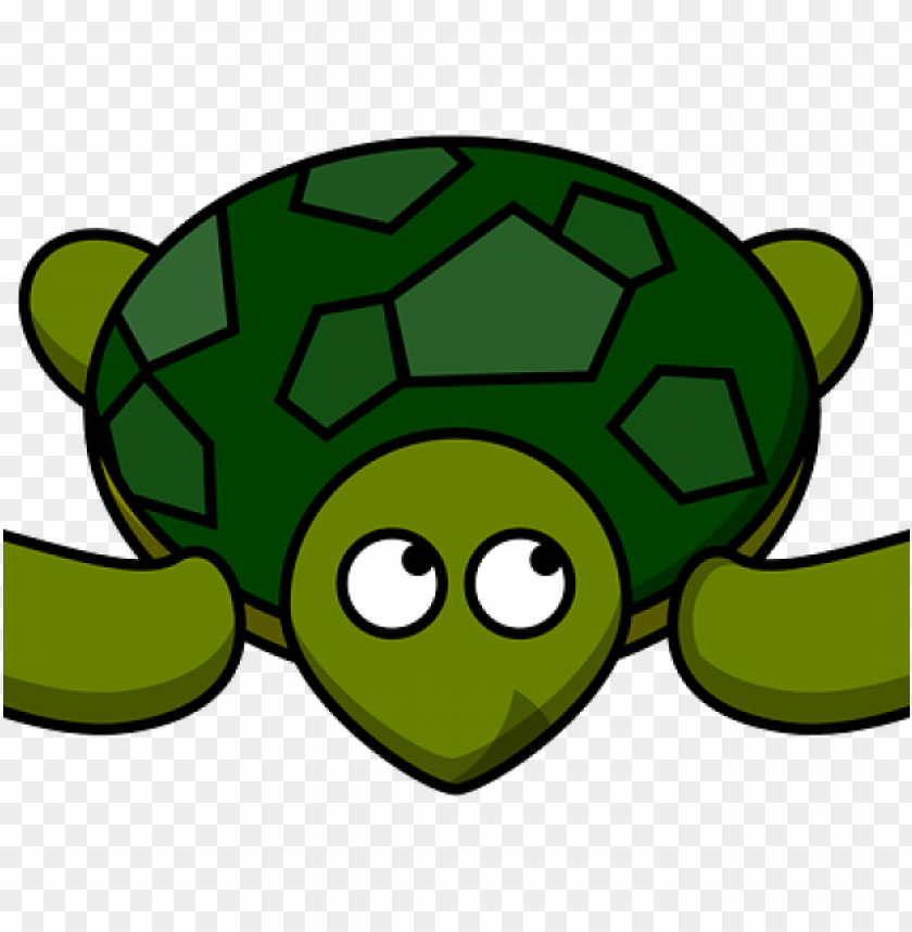 Detail Turtle Transparent Background Nomer 31