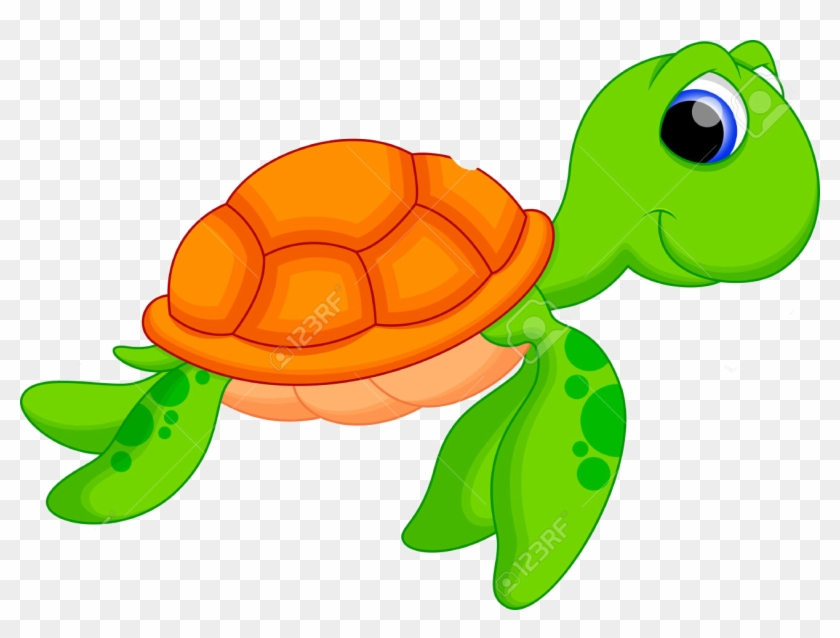 Detail Turtle Transparent Background Nomer 40