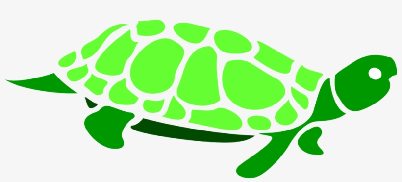 Detail Turtle Transparent Background Nomer 42