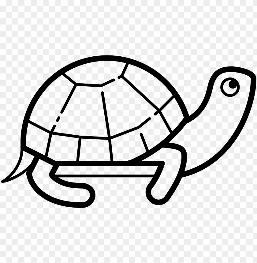 Detail Turtle Transparent Background Nomer 47