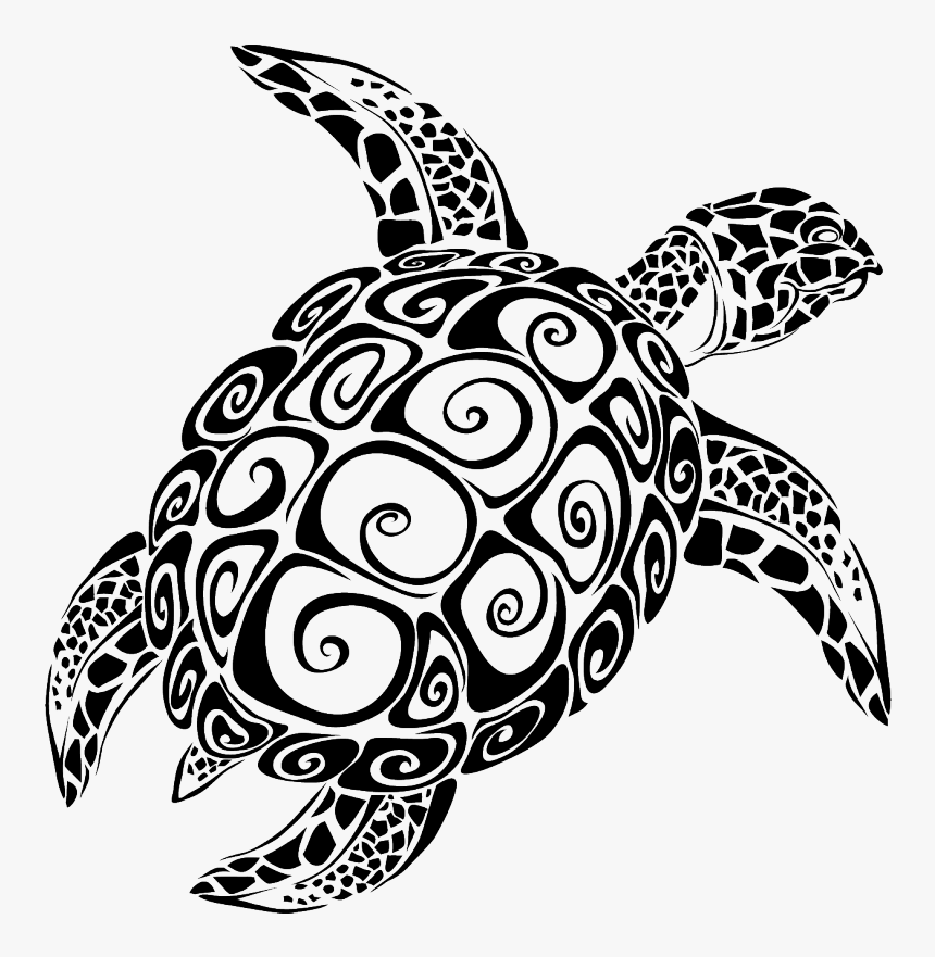 Turtle Vector Png - KibrisPDR