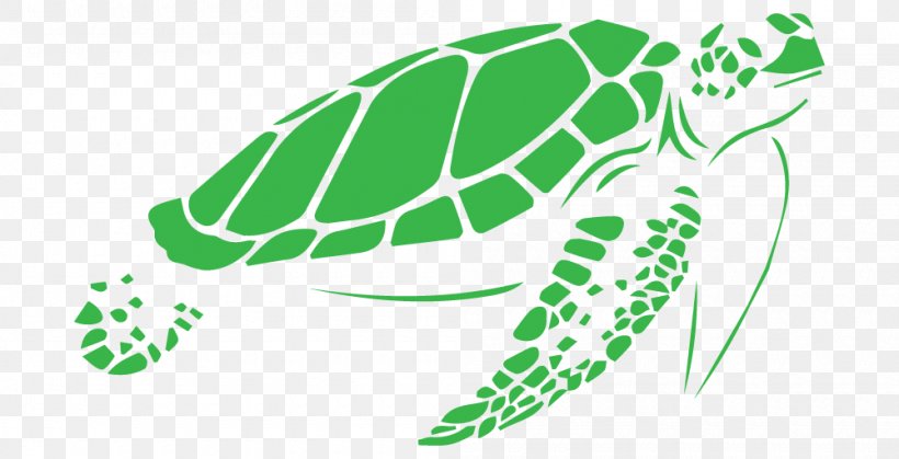 Detail Turtle Vector Png Nomer 11