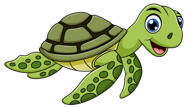 Detail Turtle Vector Png Nomer 12