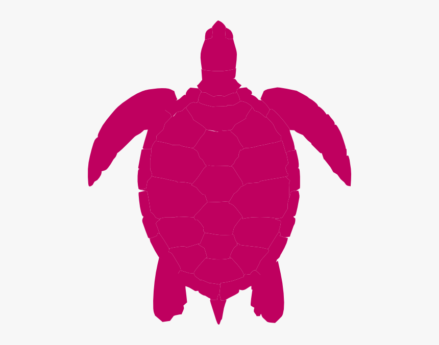 Detail Turtle Vector Png Nomer 13