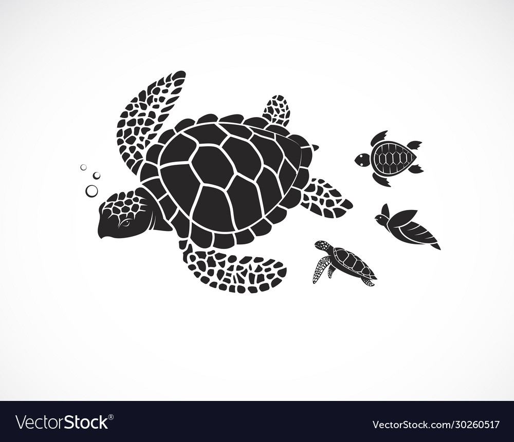 Detail Turtle Vector Png Nomer 14