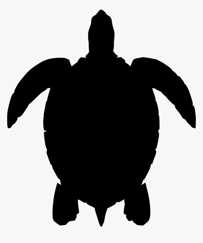 Detail Turtle Vector Png Nomer 16