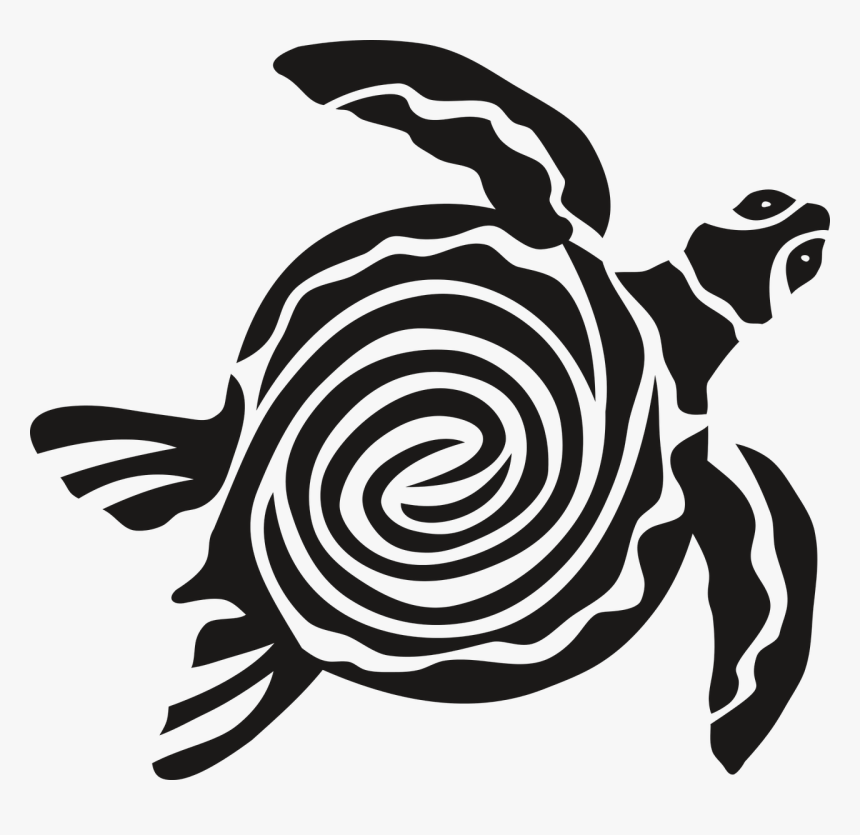 Detail Turtle Vector Png Nomer 18