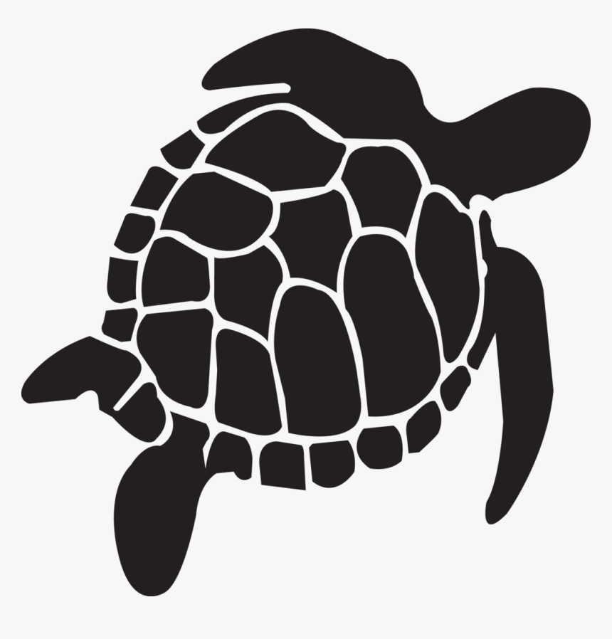 Detail Turtle Vector Png Nomer 3