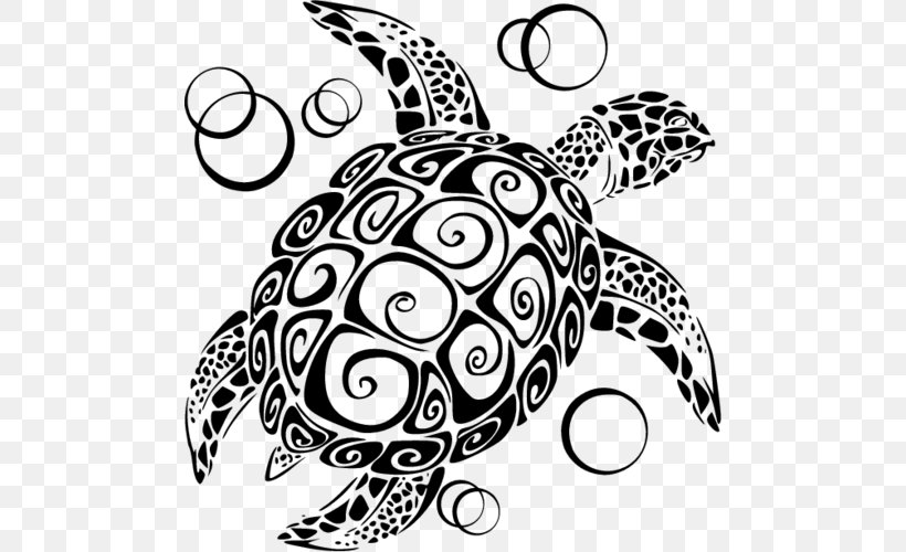 Detail Turtle Vector Png Nomer 20