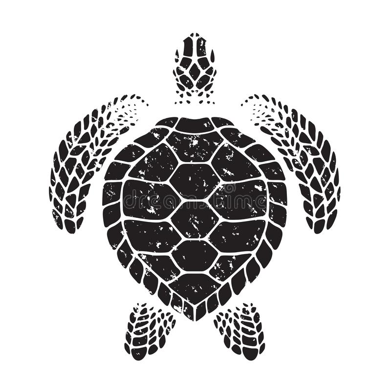 Detail Turtle Vector Png Nomer 21