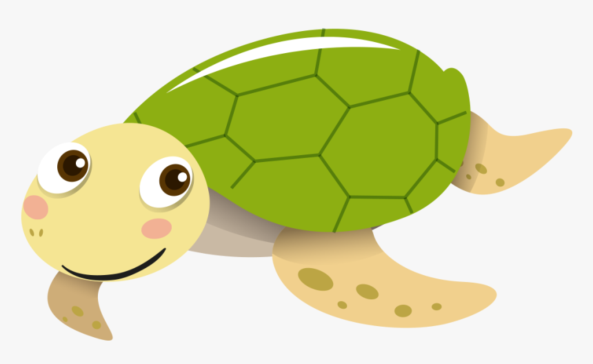 Detail Turtle Vector Png Nomer 23