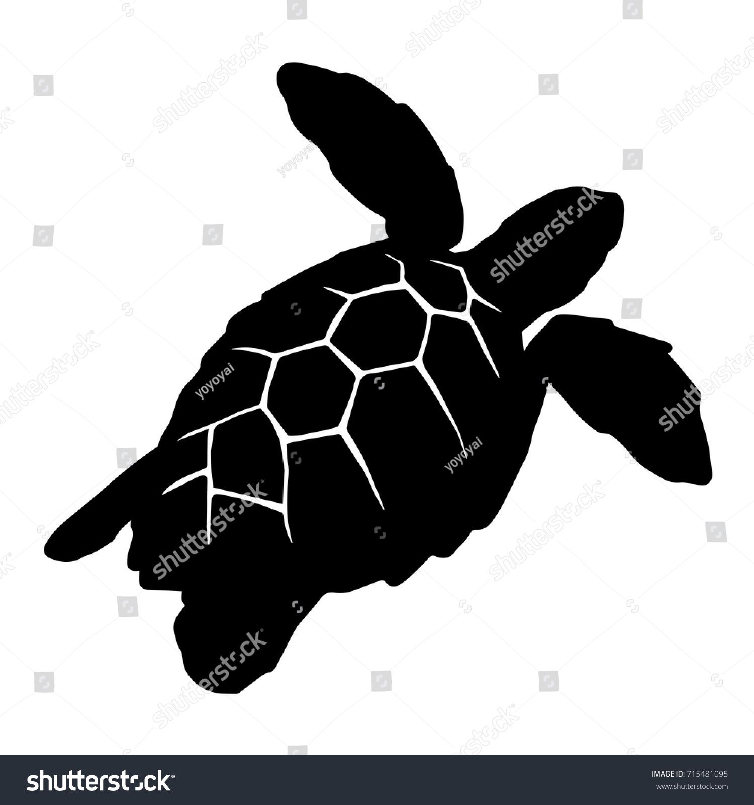 Detail Turtle Vector Png Nomer 24