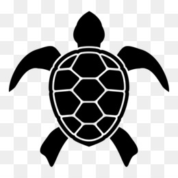 Detail Turtle Vector Png Nomer 26