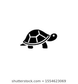 Detail Turtle Vector Png Nomer 27